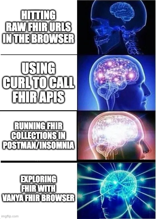Vanya FHIR Browser Meme